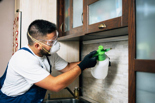 Pepeekeo, HI Pest Control Company
