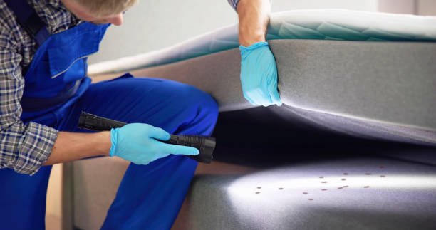 Best Exterminator Services  in Pepeekeo, HI
